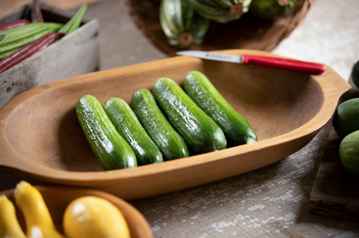 Picolino – Organic Cucumber Seed